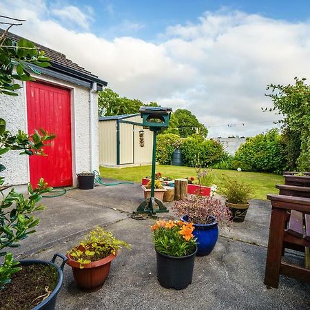 Simbavati B&B Ballina  Bagian luar foto